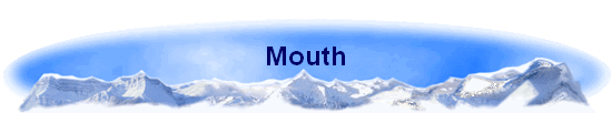 Mouth