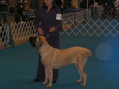 Andee @ 8 months