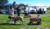 Bark in the Park 2010