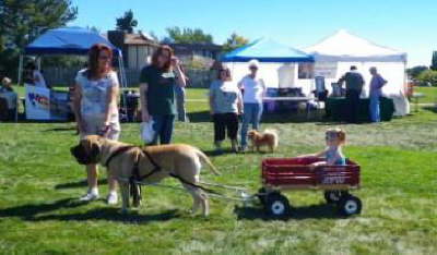 Bark in the Park 2010