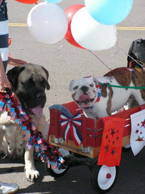 Douglas County Parade