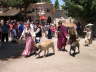 Ren Fair parade