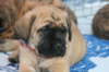 Andee @ 6 weeks