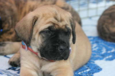 Andee @ 6 weeks